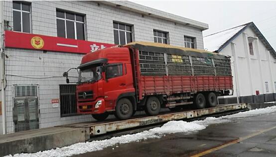 湖南常德国家粮食储备库,常德粮食收购,粮食储存,粮食储备库,省级储备粮,粮食交易