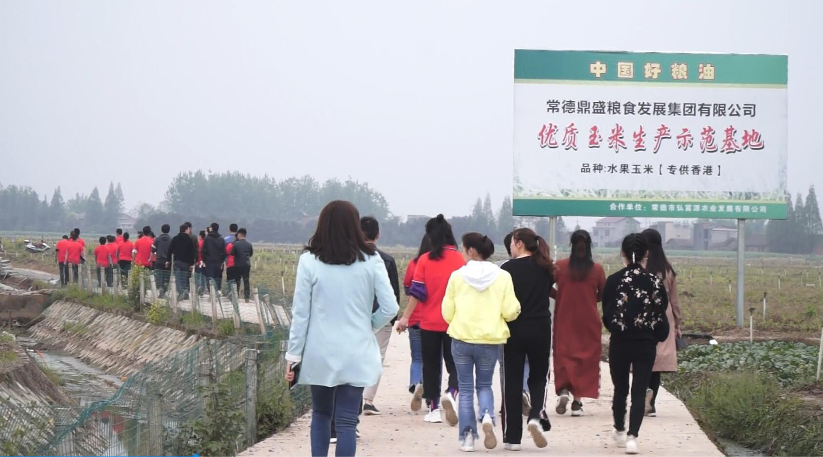 湖南常德国家粮食储备库,常德粮食收购,粮食储存,粮食储备库,省级储备粮,粮食交易