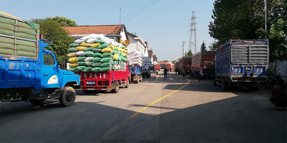 湖南常德国家粮食储备库,常德粮食收购,粮食储存,粮食储备库,省级储备粮,粮食交易