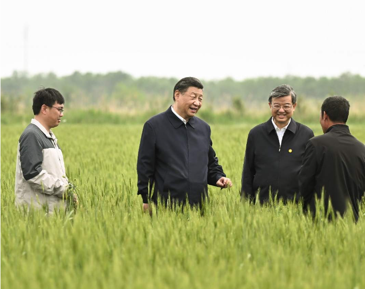 湖南常德国家粮食储备库,常德粮食收购,粮食储存,粮食储备库,省级储备粮,粮食交易